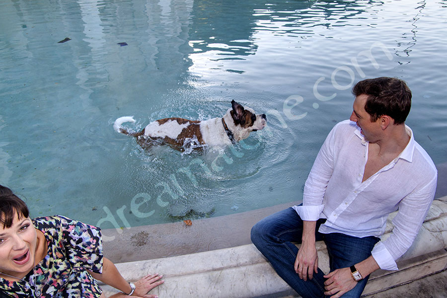 photographer-rome-1912-074 The Saint Bernard dog came