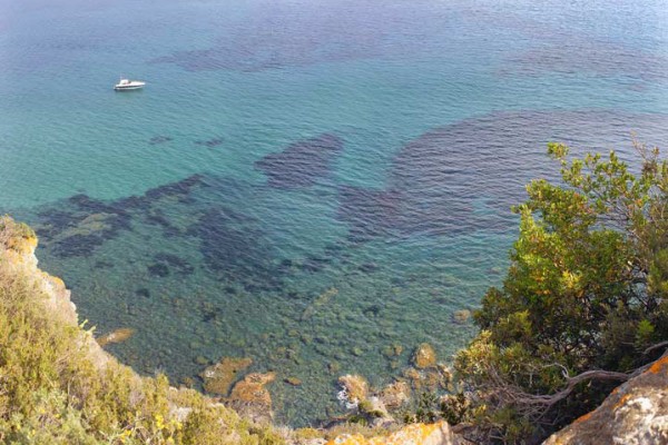 4-elba-island Elba island coastal view