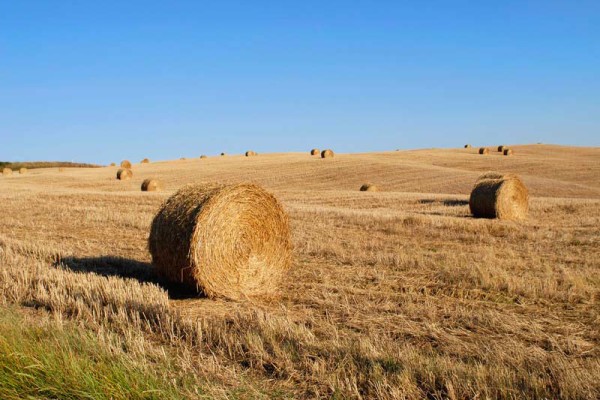 5-tuscany-country-fields Hay bales in a tuscan field