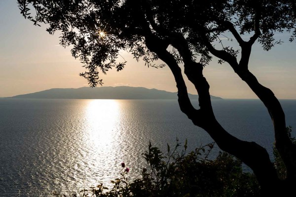9-giglio-island-coast Giglio island view from the Tuscan shore