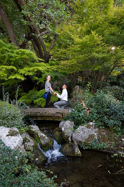 Proposing marriage in a Japanese garden immersed calm and soothing greenery
