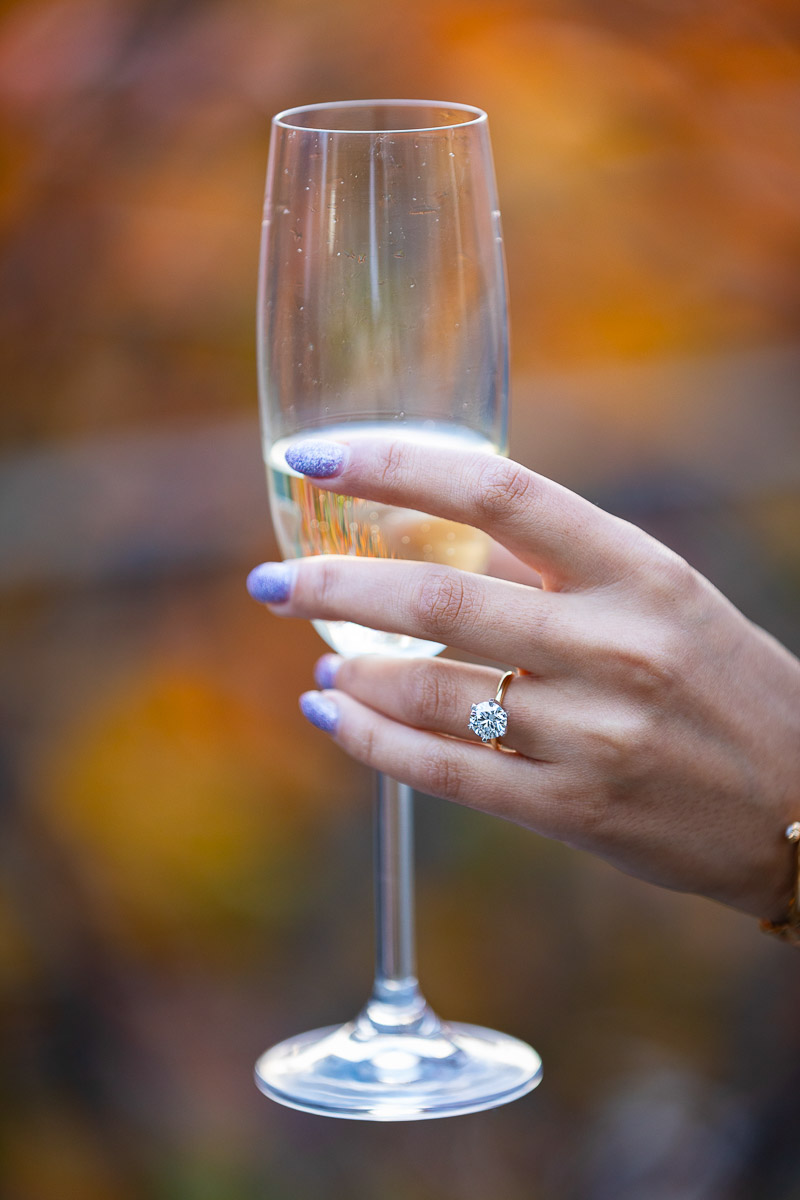 Close up engagement ring