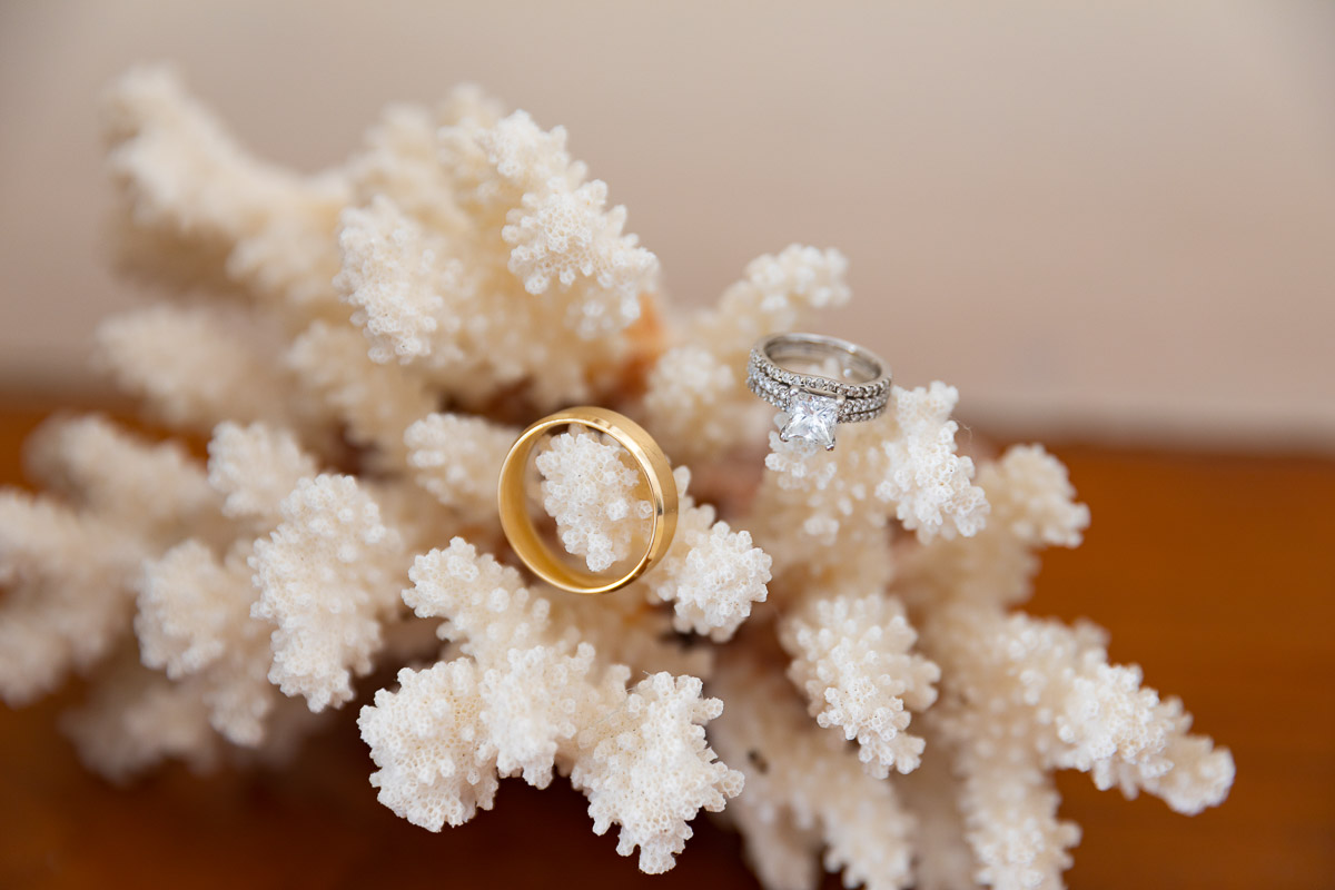 Matrimonial rings photographed on a white coral still photography