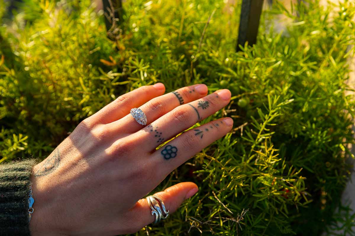 Engagement ring close up photographed over a green plant at sunset