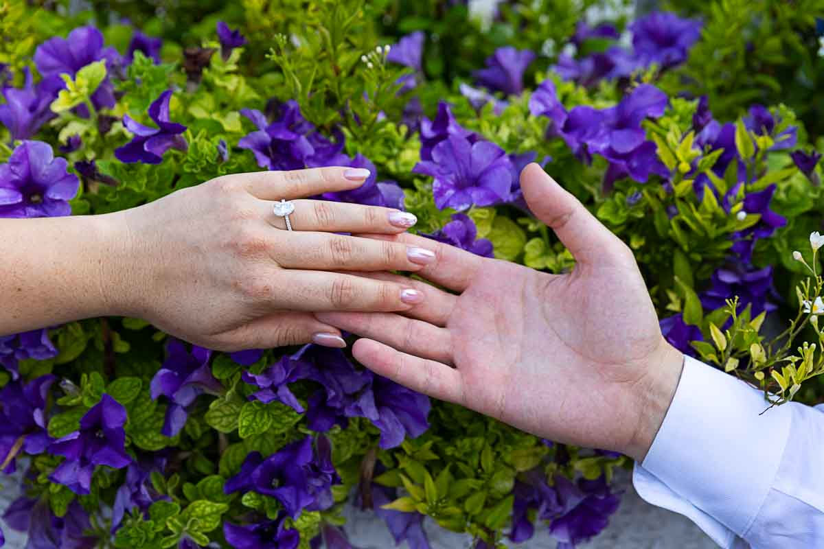 Engagement ring shot photographed in front of purple flowers