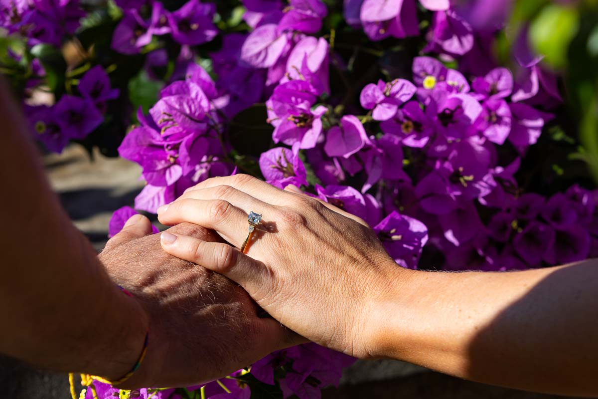 Engagement ring pictures taken over bright fuchsia flowers from a Bougainvillea plant 