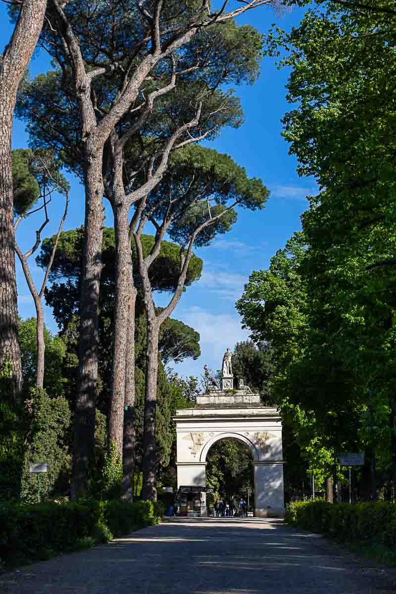 Entrance to Borghese park standing underneath tall Mediterranean pine trees