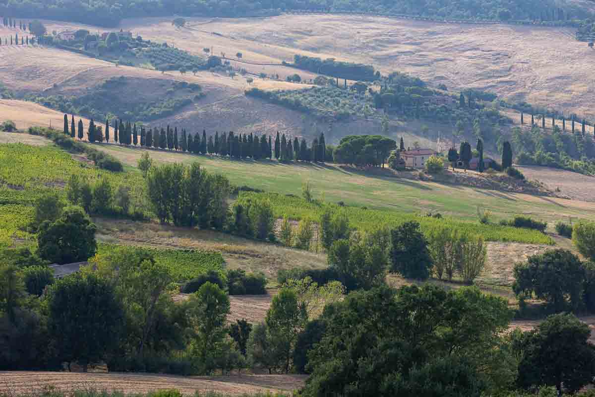 Tuscan countryside made of cypress trees and rolling hills 