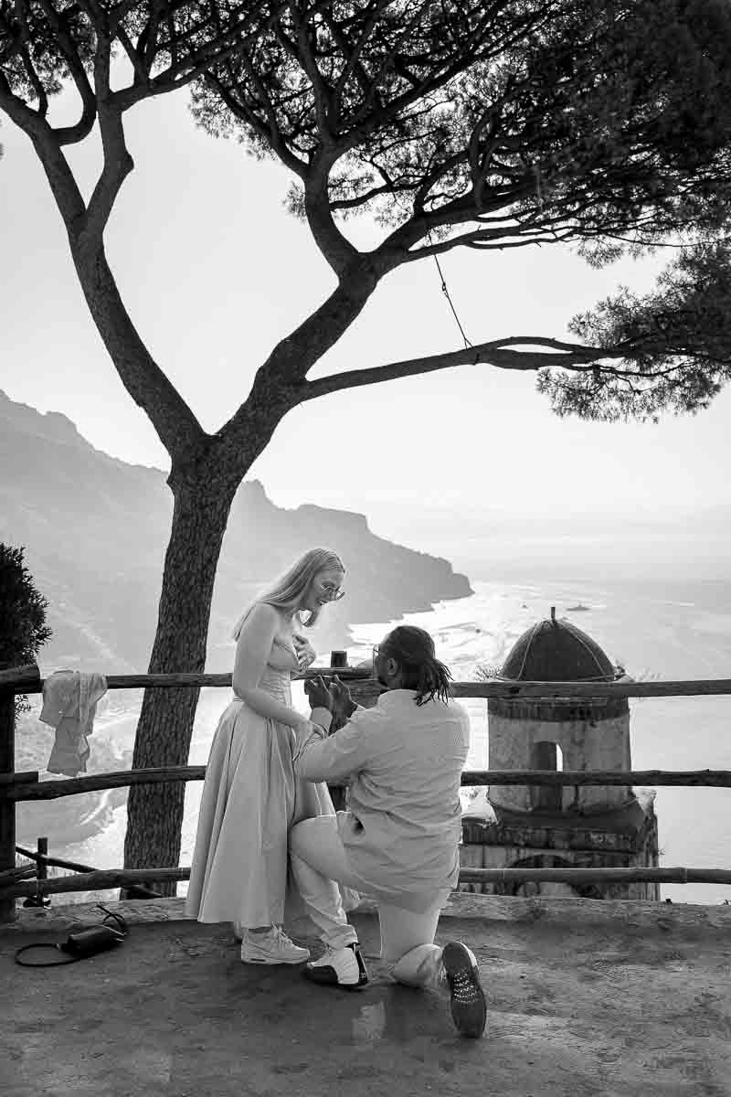 Just engaged under mediterranean pine trees