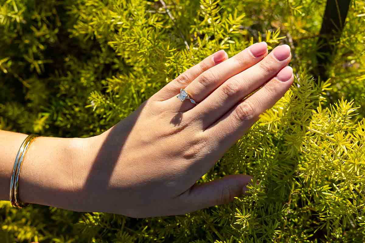 Photo of the engagement ring photographed from above over green plant 