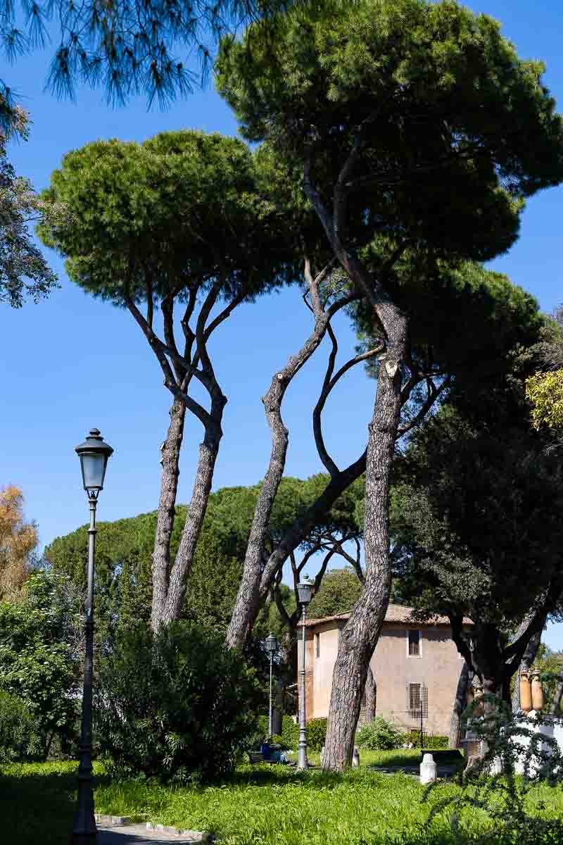 Parco del Colle Oppio a Roma scenic park views in the greenery 