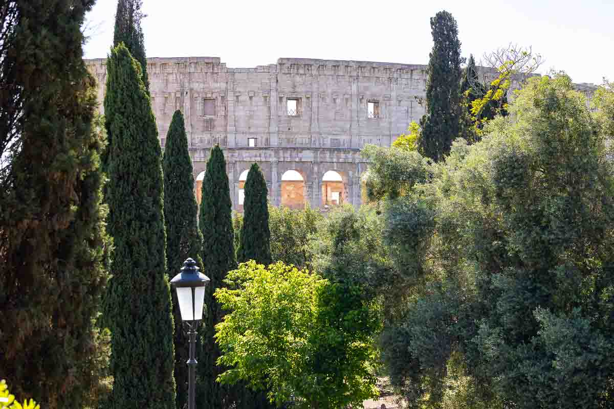 The amphitheatre seen from a distance in between trees and lush greenery 