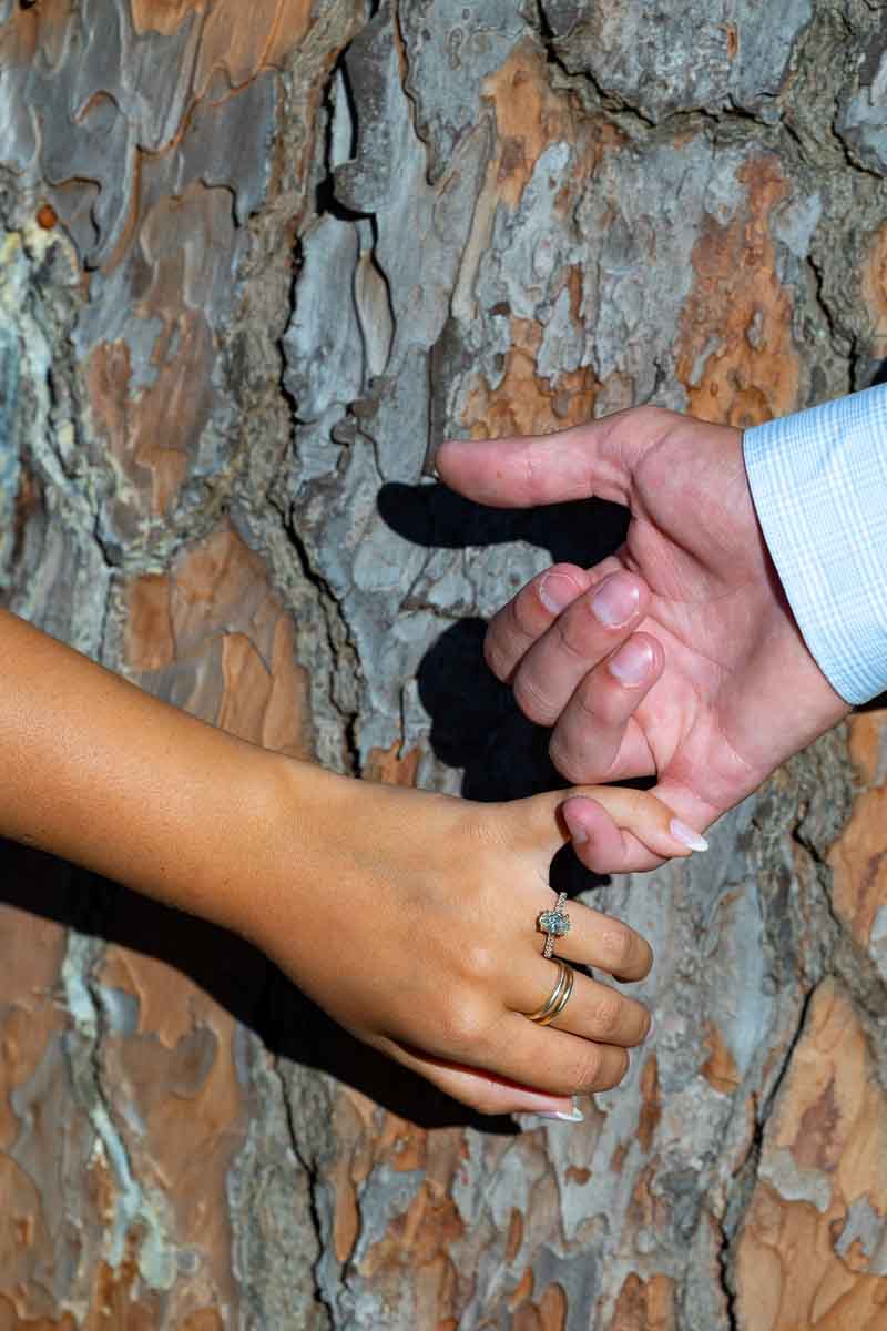 Pinky to pinky image of the diamond ring photographed against tree bark using a telephoto lens