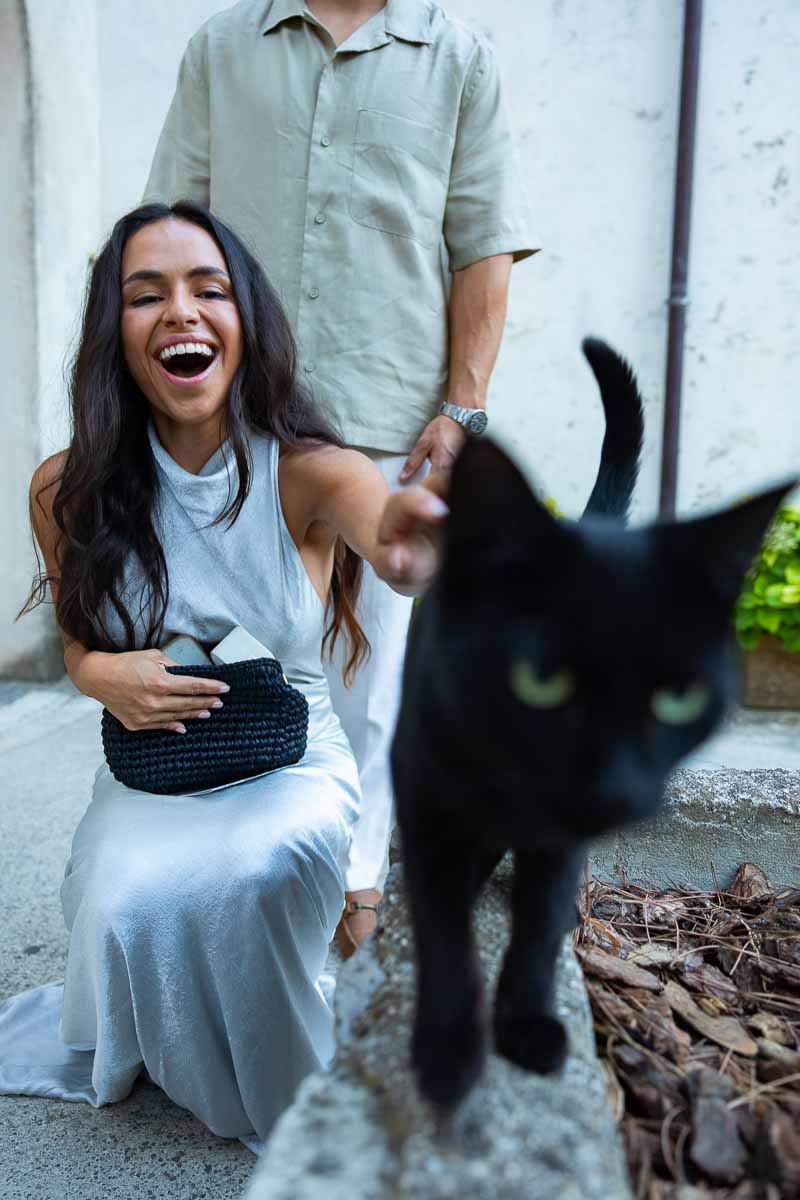 A charming lifestyle snapshot of a local cat visiting a couple during their holiday portrait session.